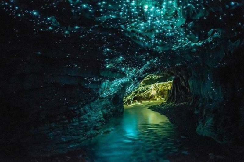 Gua Waitomo Glowworm: Keajaiban Alam dengan Ribuan Bintang