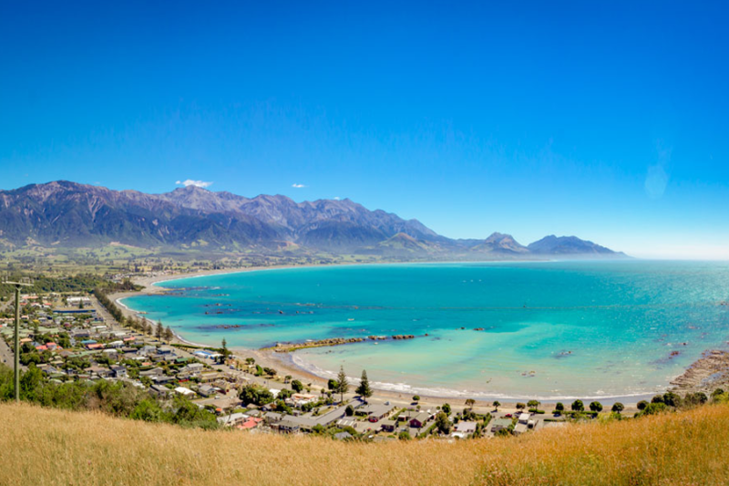 Kaikoura: Surga Pengamat Paus Sperma dan Lumba-lumba