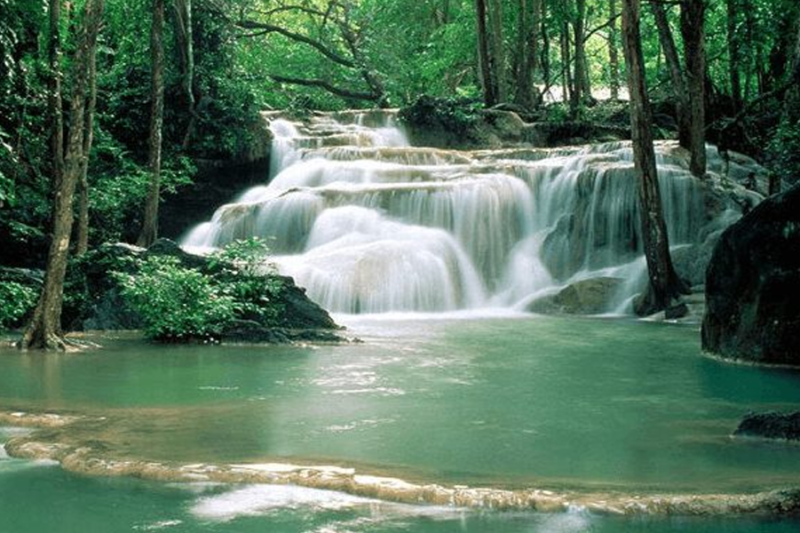 Khao Phanom Bencha: Surga Hutan Hujan Tropis di Krabi