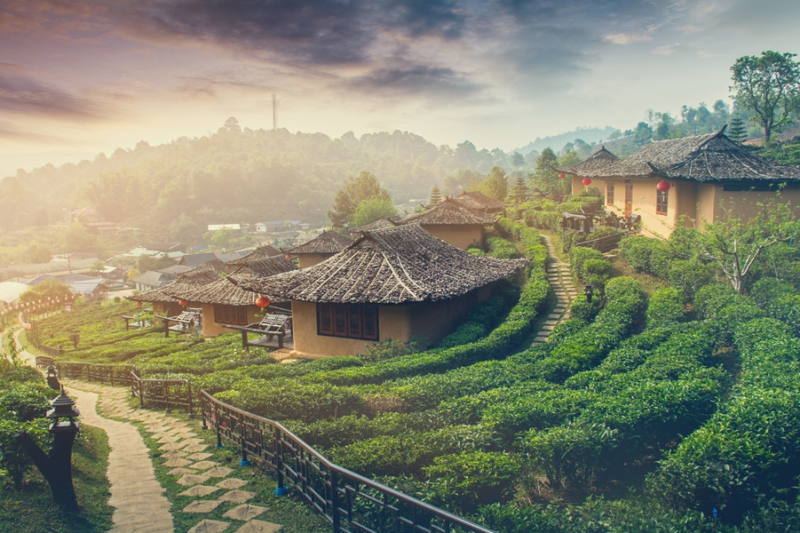 Kota Pai: Surga Kecil di Utara Thailand