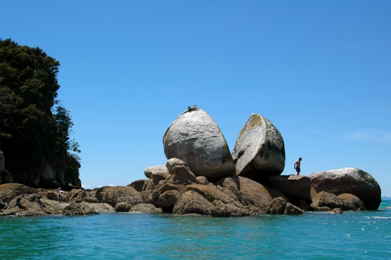 Taman Nasional Abel Tasman: Surga Tersembunyi di Selandia Baru